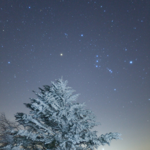 オリオン座の樹氷