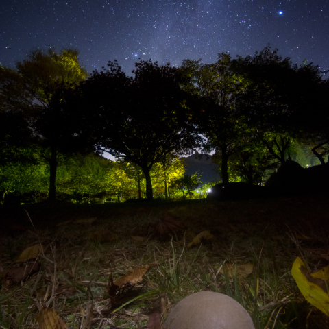 銀河のキノコボール(物体X系)