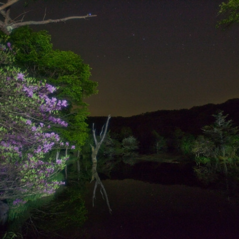 星夜の八千穂高原駒出池