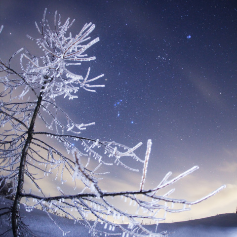 雨氷のオリオン座