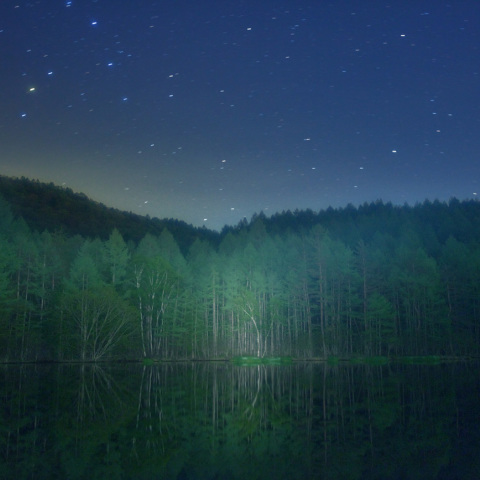 星空に緑響く