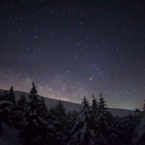 夏銀河の樹氷群