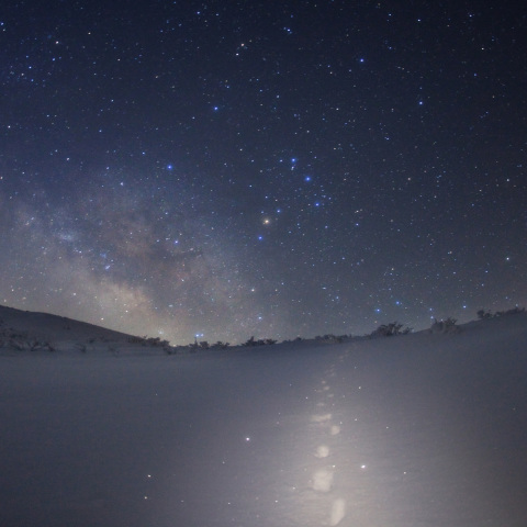 キラキラ銀河のキツネ道