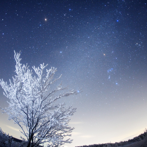 スノーダイヤモンド