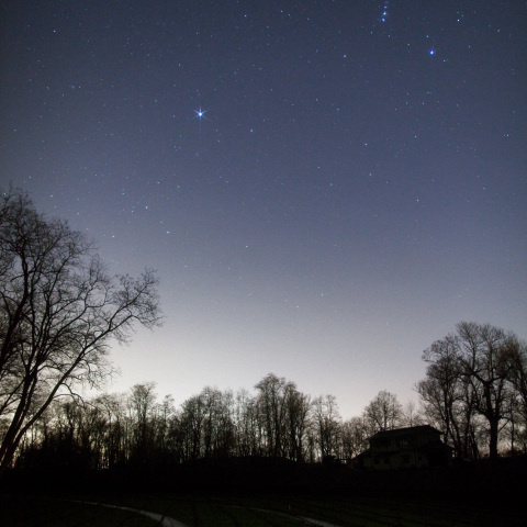 冬星のわざび田