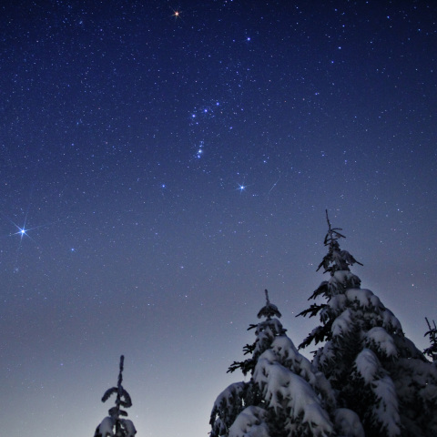 ベツレヘムの星