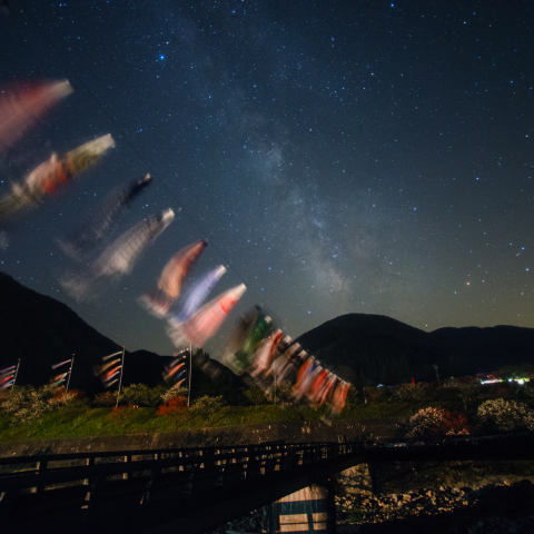 天の川に泳ぐ阿智花桃鯉のぼり