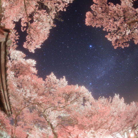 銀河の高遠城問屋門