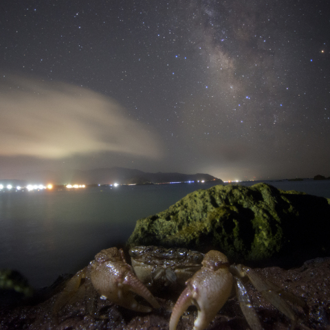 天の川とカニの鹿屋錦江湾