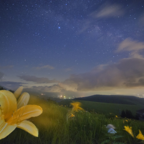 天の川眺める霧ケ峰ニッコウキスゲ