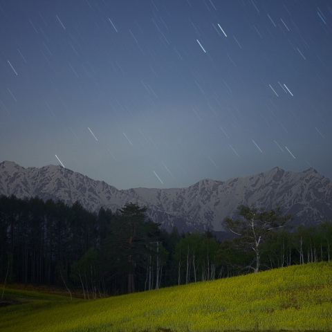 星降る爺鹿島槍ノ菜の花畑