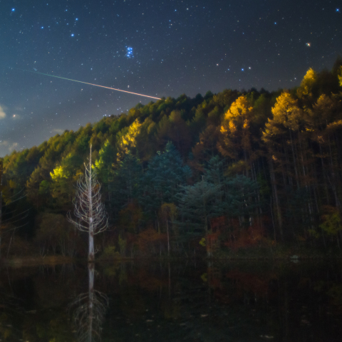 ヘブンス立枯れ池の流星スバル