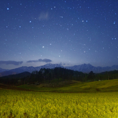 星散撒く中山高原