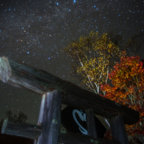白蛇縁結びの銀河紅葉（白龍姫神社)