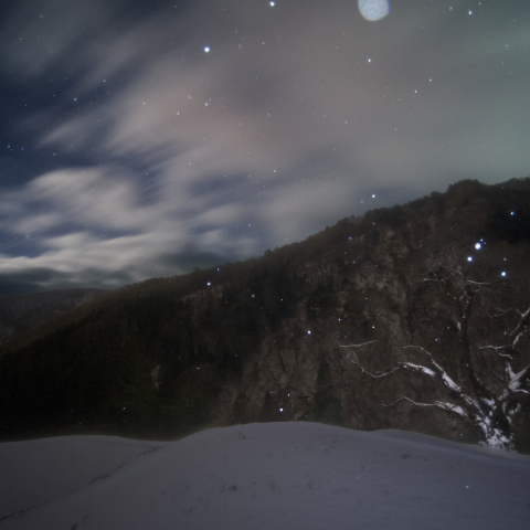 星雪の駒つなぎの桜