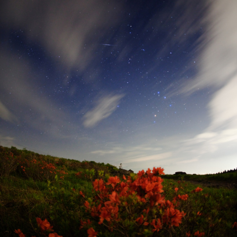 霧ガ峰の初夏流星