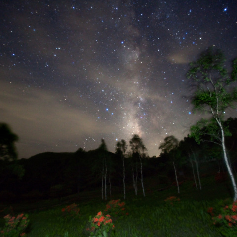 銀河の初夏入笠湿原