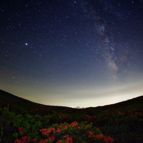 夏銀河のツツジ高原