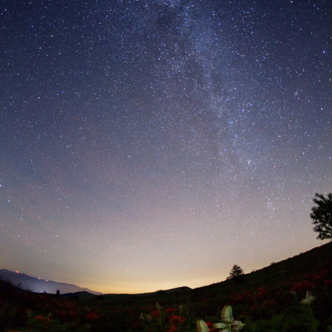 夏花霧が峰銀河