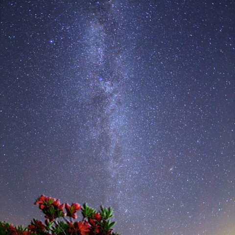 夏の大三角のツツジ銀河
