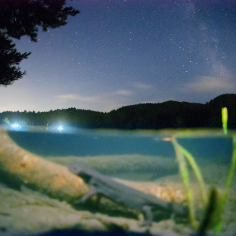 水中のイモリと天の川