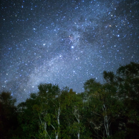 八千穂高原白樺の銀河