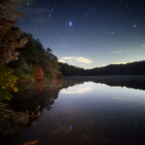 紅葉白駒池に泳ぐ昴光魚