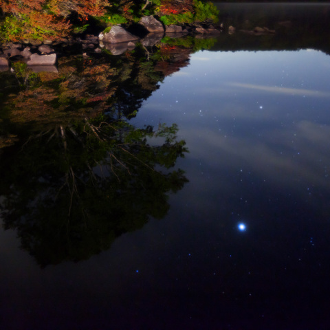 紅葉白駒池映す木星と魚座
