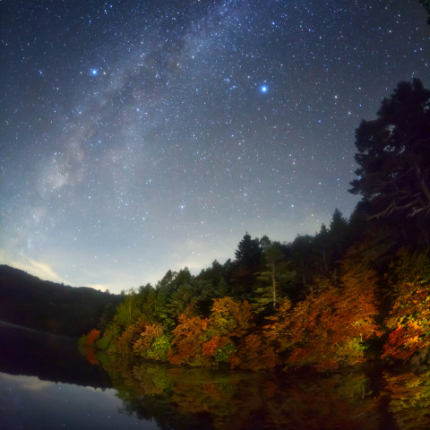 宙舟の紅葉白駒池銀河