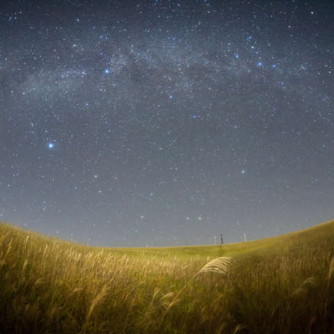 高原ススキの銀河鉄道