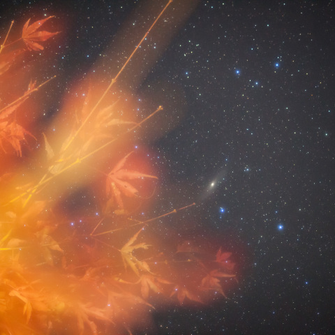 アンドロメダ銀河のもみじ