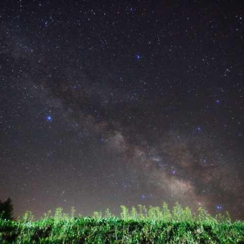 菜の花の天の川
