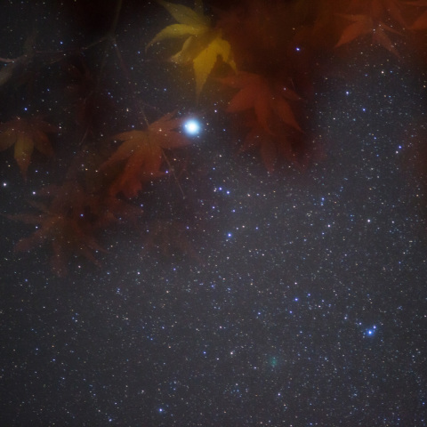 103P/ハートレー彗星の楓11_11