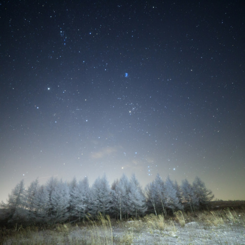 霧氷霧ケ峰の冬星