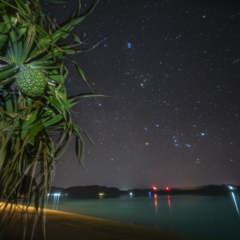 アダンの奄美星空