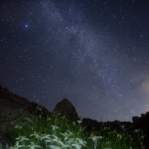 銀河のエーデルワイス