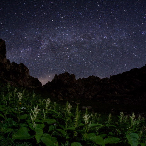 木曾駒オンタデ銀河