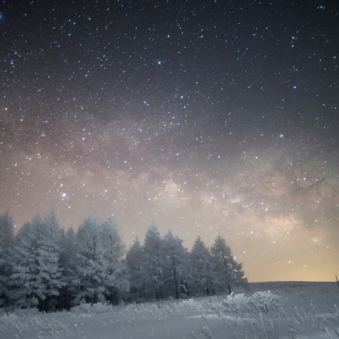 天の川の霧ヶ峰樹氷林