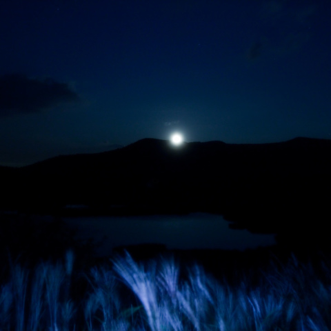 八島湿原の秋月