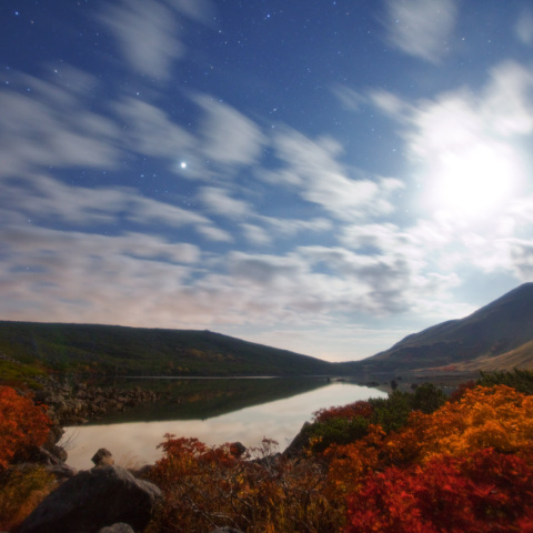 月夜の紅葉白馬大池
