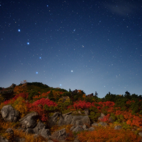 北斗の白馬山岳紅葉