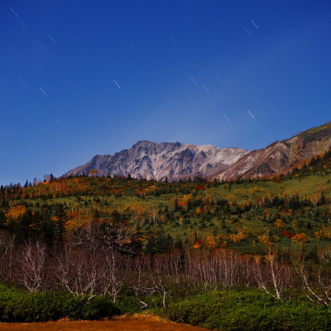 白馬岳栂池紅葉星景