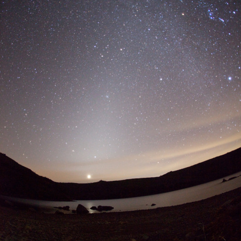 チングルマの黄道光