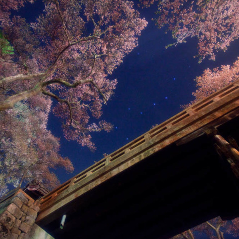 北斗の高遠桜雲橋