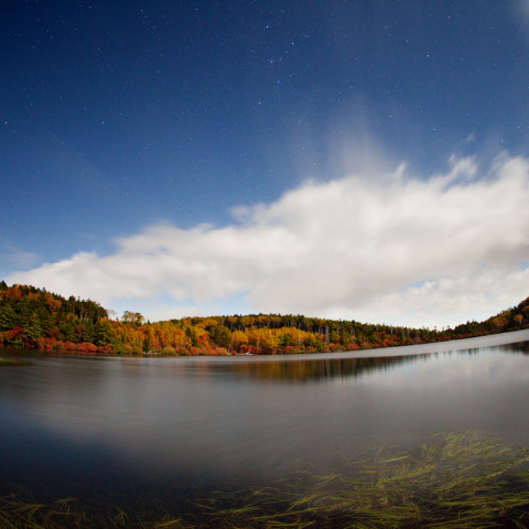 星夜の白駒池紅葉