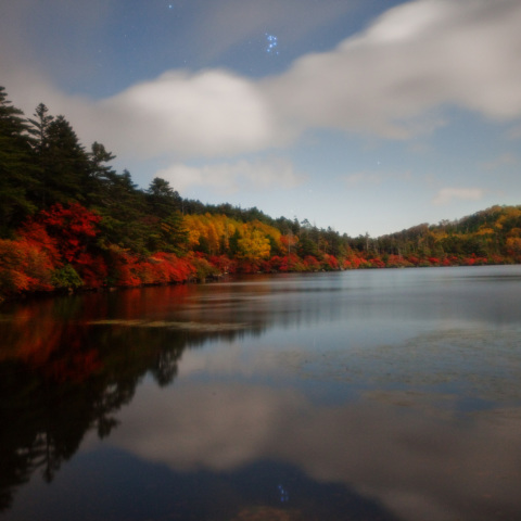 すばる映す白駒池紅葉