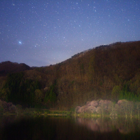 星空の中綱湖オオヤマザクラ