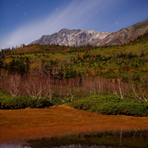 白馬岳星映す栂池紅葉