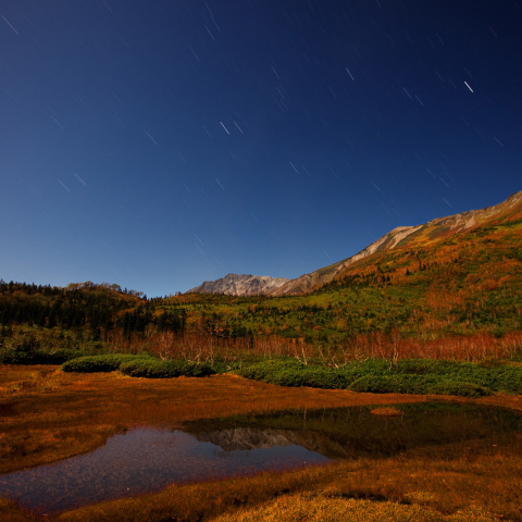 星降る紅葉浮島湿原