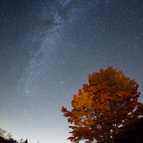 秋銀河の一の瀬大カエデ